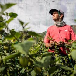 ‘El que no sabe, es como el que no ve’ 