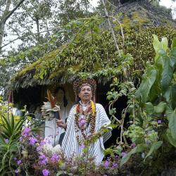 Las voces de la Amazonía 