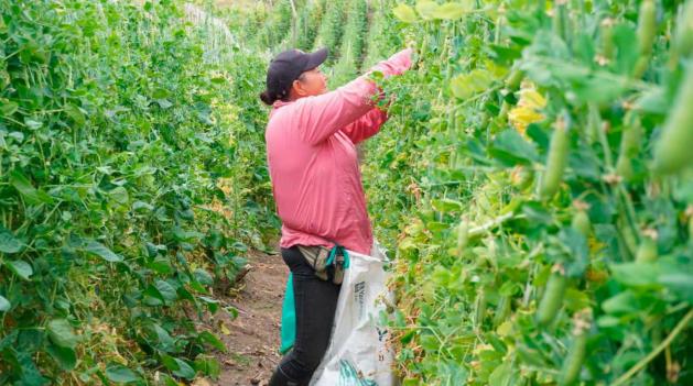 Disminución pobreza rural Colombia DANE