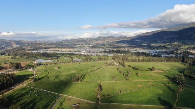 MinAmbiente tutela suspensión ambiental en Bogotá