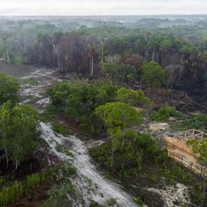 La Amazonía se acerca a un punto de no retorno: causas, consecuencias y amenazas ambientales