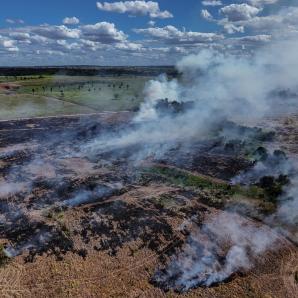 Día Internacional contra el Cambio Climático: rumbo a la COP30 en Brasil Día Internacional contra el Cambio Climático: rumbo a la COP30 en Brasil