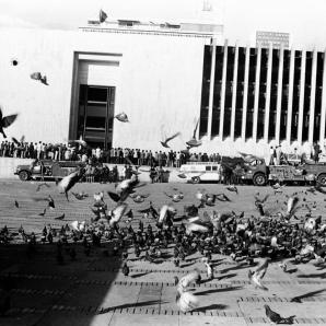 Toma y retoma del palacio de justicia 40 años después