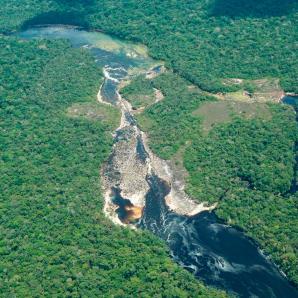 Guardiana de Chiribiquete: la nueva zona de reserva campesina en Guaviare
