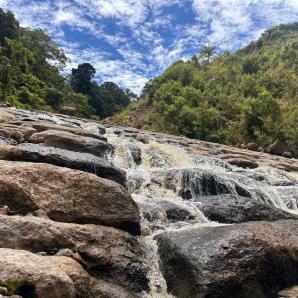 Cueva de los Guácharos: 65 años de conservación comunitaria en Huila