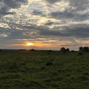 Caminos del Yarí impulsa turismo y paz en Meta y Caquetá