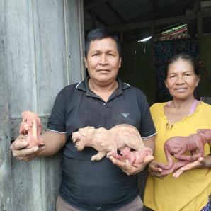 Arte en madera comunidades indígenas Colombia
