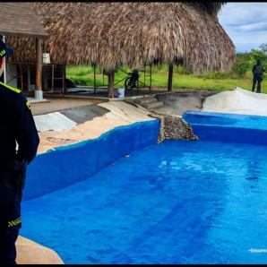 Fiscalía ocupa 243 bienes del Clan del Golfo 