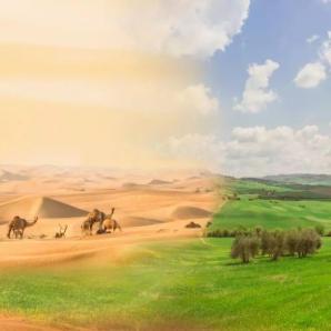 Día de Lucha contra la Desertificación y la Sequía martes 17 de junio de 2025