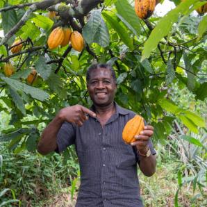 Créditos agropecuarios en 2025: Colombia habilitó 25.370 millones