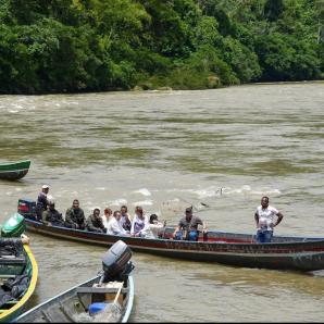 RenHacemos impulsa sustitución de cultivos ilícitos en Nariño