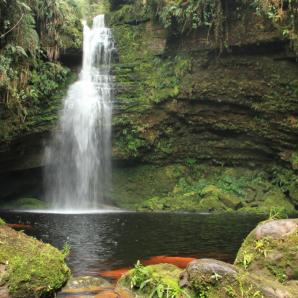 Día de los Parques Nacionales de Colombia 2025 