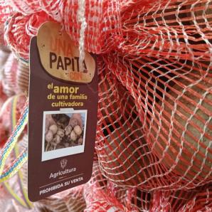 Gobierno nacional crea programa de apoyo a los que cultivan papita 