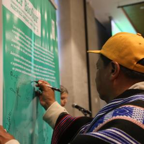 GEF BioSur: Detalles del proyecto