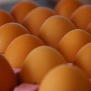Consumo de huevos en Colombia 2025: Fenavi confirma récord histórico, cada colombiano come uno al día