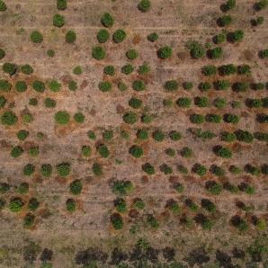 Ideam alerta por posible fenómeno de El Niño en Colombia
