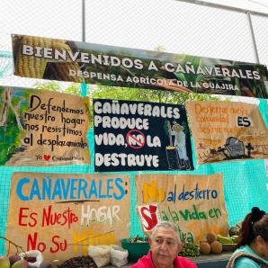 Cañaverales resiste: comunidad afro en La Guajira lucha por salvar su manantial del proyecto minero de carbón