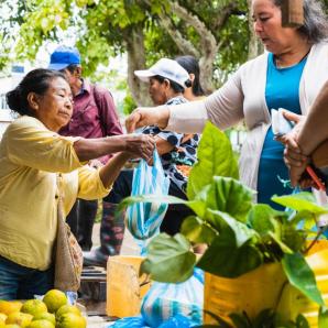 Chagra ancestral: qué es, características, pueblos indígenas