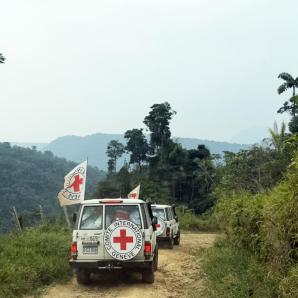 Ayuda humanitaria del CICR en Caquetá por crisis alimentaria