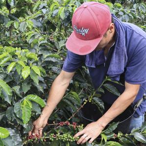  Ministerio de Agricultura y Desarrollo Rural 