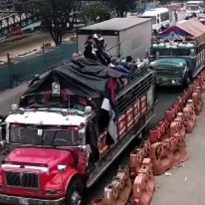 Indígenas Misak en Bogotá por qué protestan
