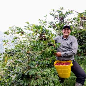 Café colombiano Abuela Bárbara: emprendimiento en Tolima 