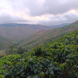 Memoria y solidaridad para el Catatumbo