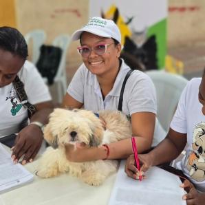 Nariño pondrá en marcha ruta integral para atender el maltrato animal y reducir la impunidad