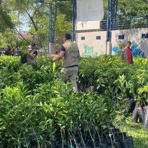 Programa de Sustitución de Cultivos Ilícitos Caquetá