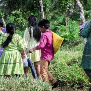 Risaralda activa plan contra la mutilación genital femenina
