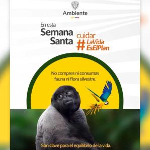 Semana Santa: refuerzan controles por tráfico ilegal de fauna y flora