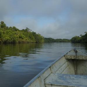 Amazonía colombiana: el río Vaupés y su importancia social y ambiental