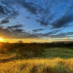 Zonas de Reserva Campesina en La Macarena, Meta, un proyecto que avanza a paso firme