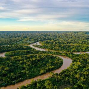 Gobierno destaca 16% menos deforestación en la Amazonía