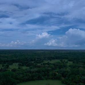 Reforestación en Amazonas: acuerdos con campesinos en Guaviare