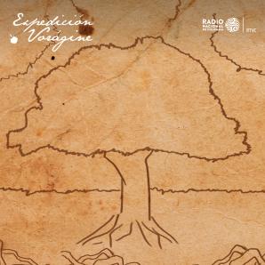 Literatura colombiana