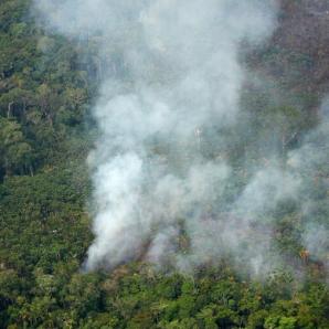 Amazonía colombiana