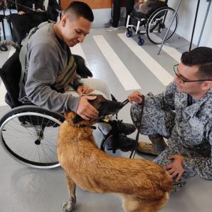 Estrés postraumático, una realidad que 'toca' a las Fuerzas Militares de Colombia