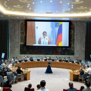 Consejo de Seguridad de la ONU Informe Final de la Comisión de la Verdad