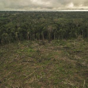 Temporada 2 Episodio 3 - Sobreexplotación