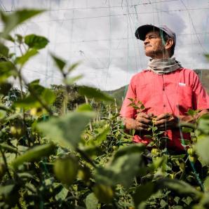 ‘El que no sabe, es como el que no ve’