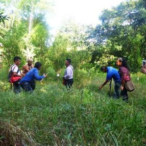 Mistificad: un camino por las tradiciones indígenas Misticidad: un camino por las tradiciones indígenas