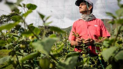 ‘El que no sabe, es como el que no ve’ 