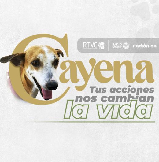 Cuidado y protección de los animales Cuidado y protección de los animales