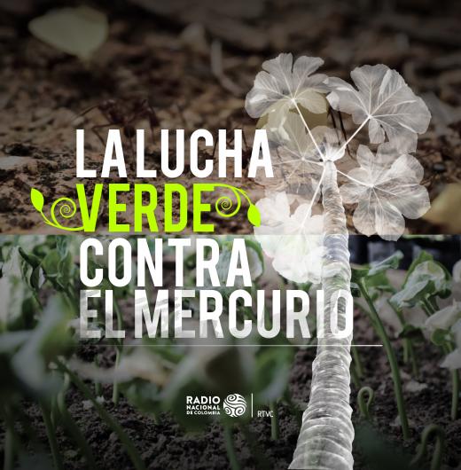 La lucha verde contra el mercurio