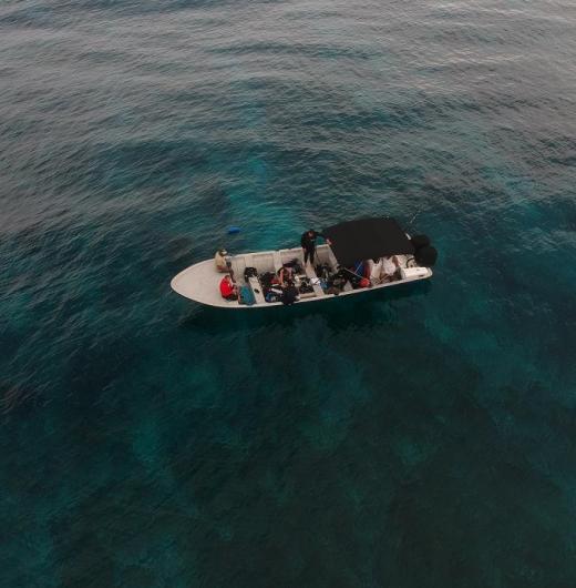 Mares y fronteras: cruceros científicos por nuestros ecosistemas