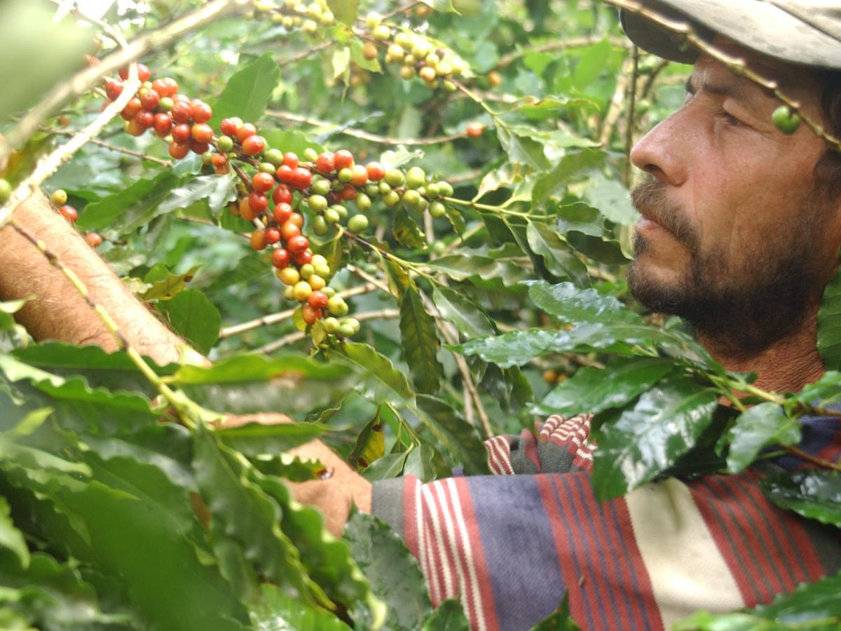 ¿Qué características tienen las granjas ecológicas?