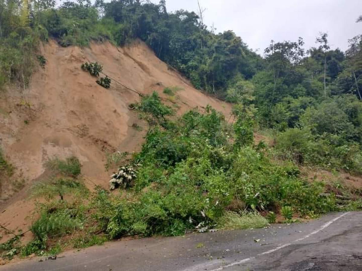 Cierre en la vía a La Línea por deslizamiento