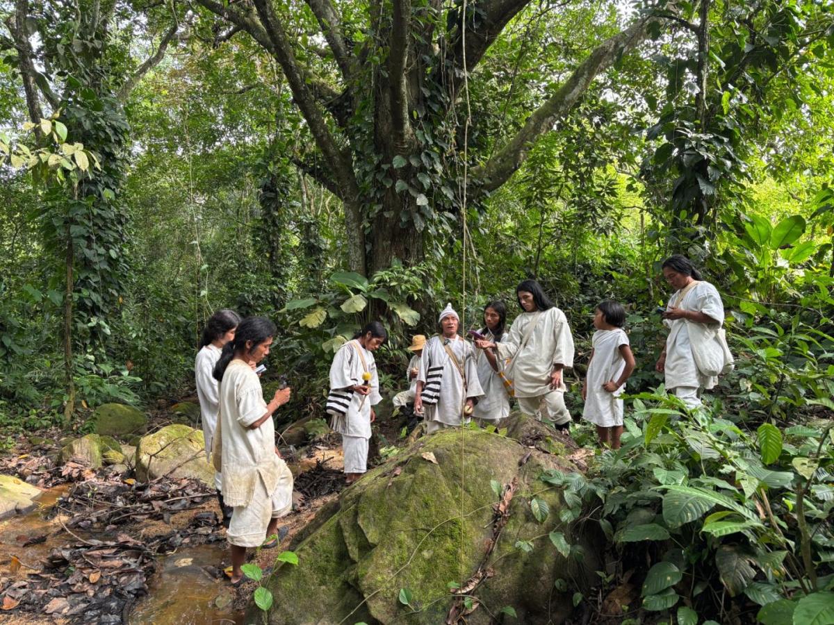 Histórico para la Sierra Nevada: justicia admite demanda de restitución a favor del pueblo Kogui