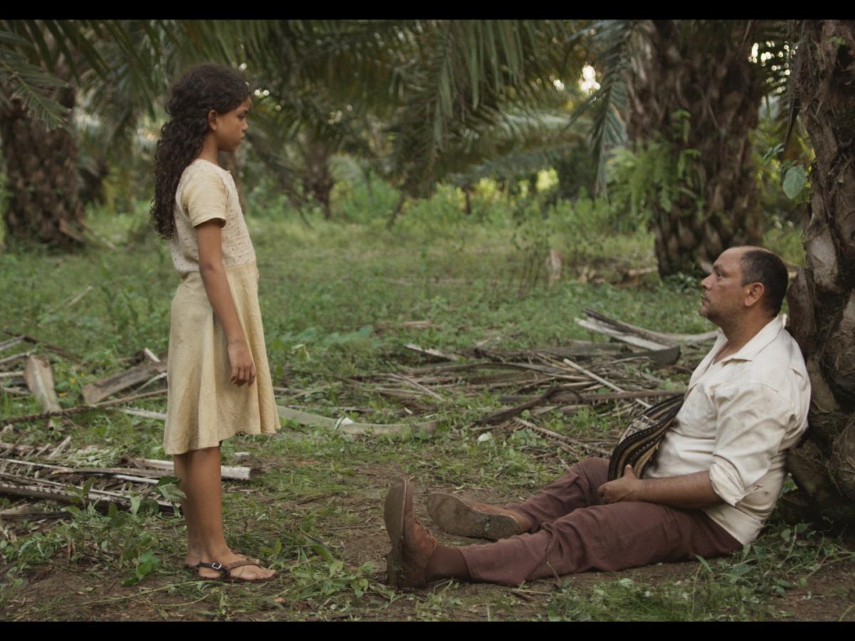 ‘El Árbol Rojo’ disponible en RTVCPlay 